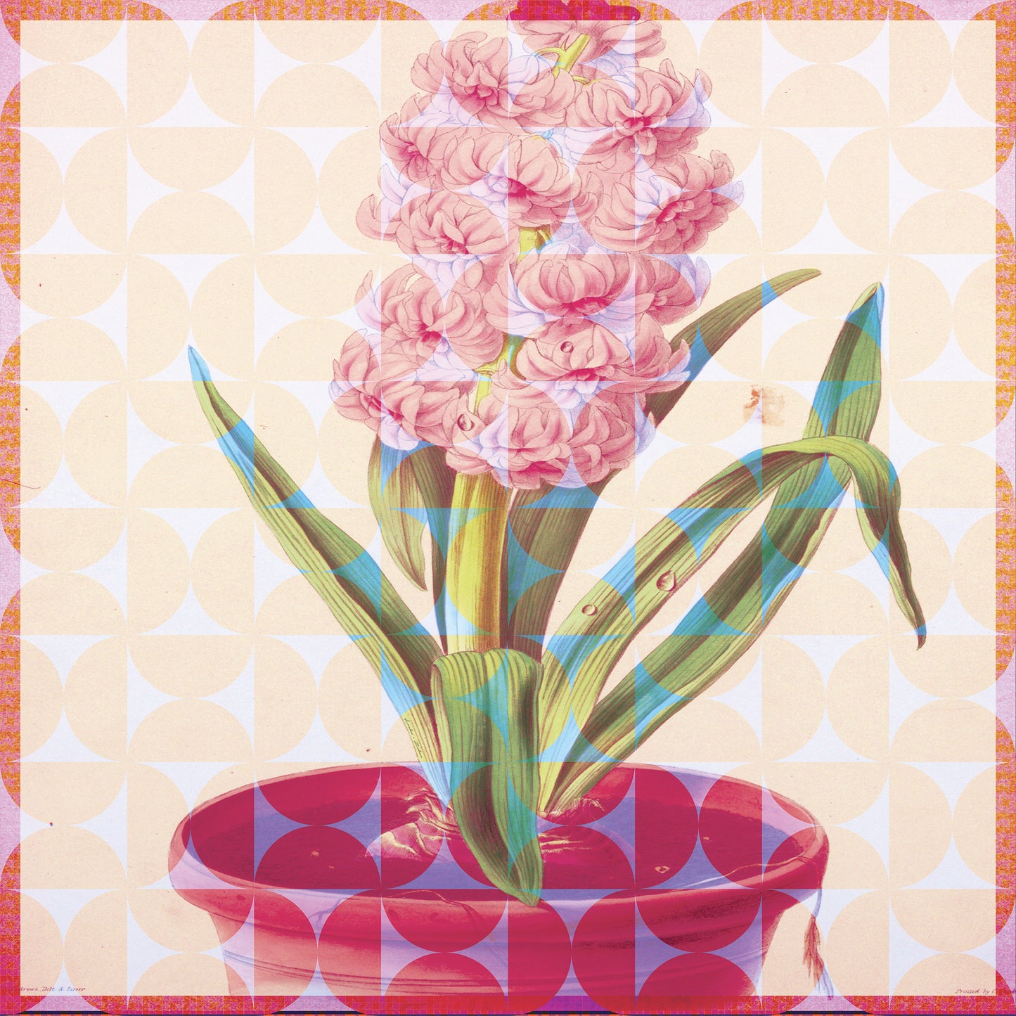 Smithsonian American Art Museum Hyacinth Duke of Wellington silk scarf design by Leeloo + Zohan featuring vibrant pink flowers and geometric patterns.